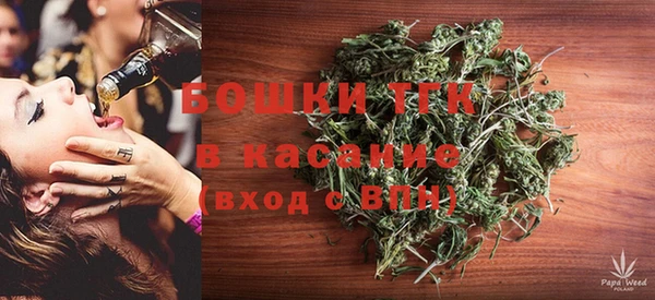 шишки Балабаново