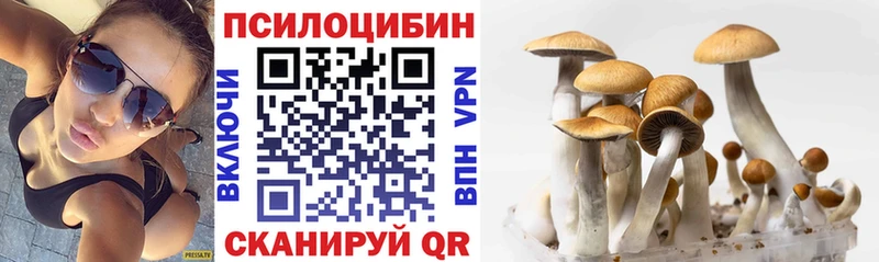 Псилоцибиновые грибы прущие грибы Лебедянь